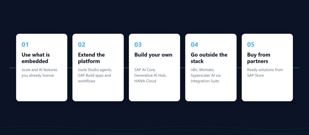 Overview of the five routes: embedded AI, platform extension, custom build on AI Core, tools outside the SAP stack, and SAP Store partner solutions
